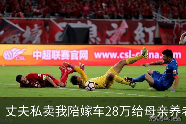 丈夫私卖我陪嫁车28万给母亲养老，回家后他傻眼了