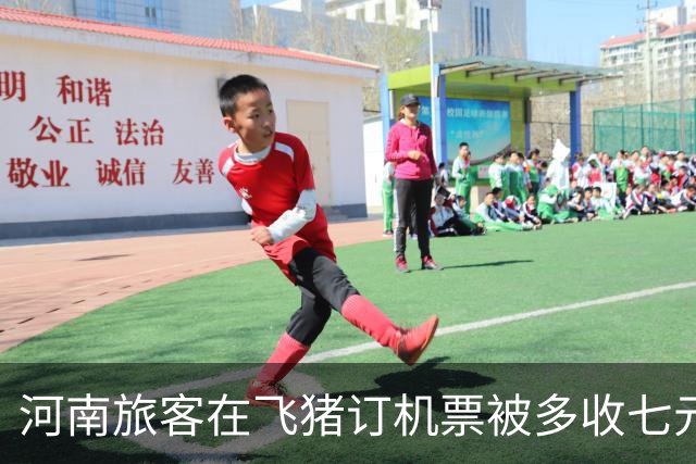 河南旅客在飞猪订机票被多收七元要求赔偿，飞猪称系价格波动